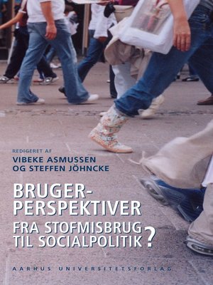cover image of Brugerperspektiver